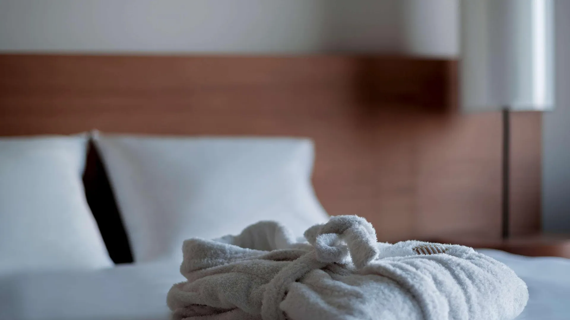 Pullman Basel Europe Hotel 4*,